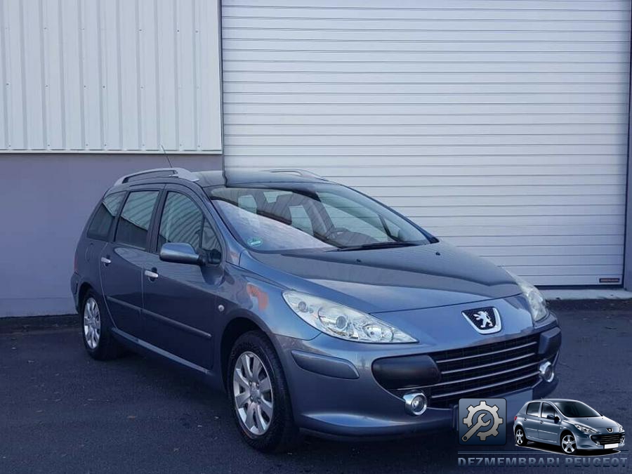 Aeroterma peugeot 307 2004