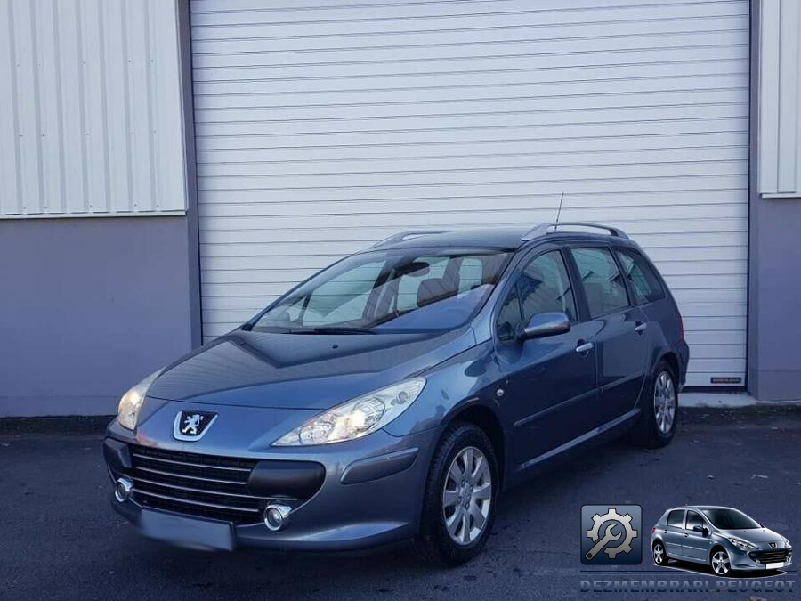 Aeroterma peugeot 307 2004