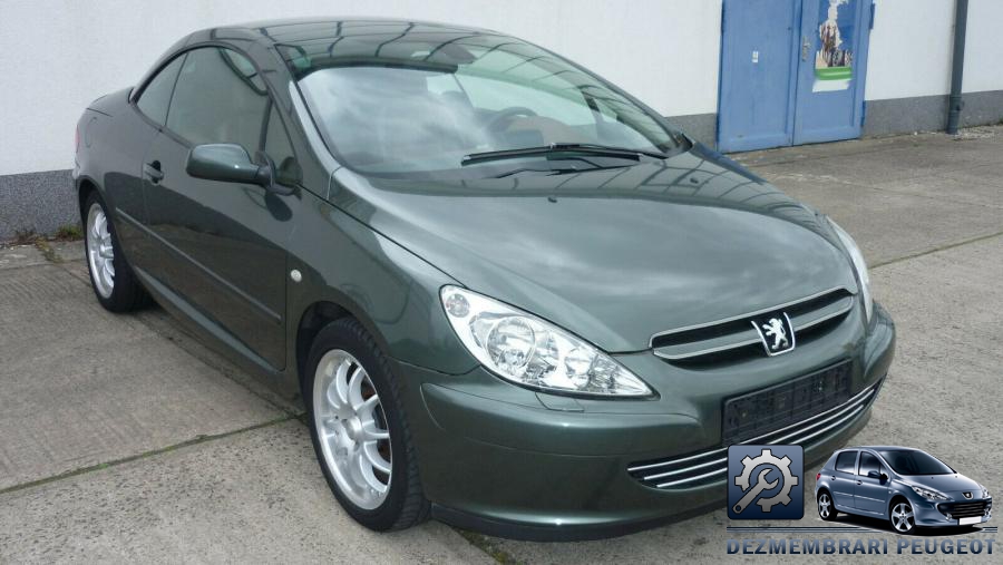 Amotizor peugeot 307 2004