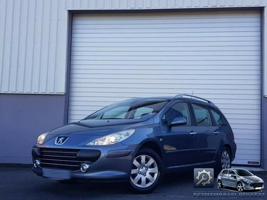 Aripa fata peugeot 307 2003