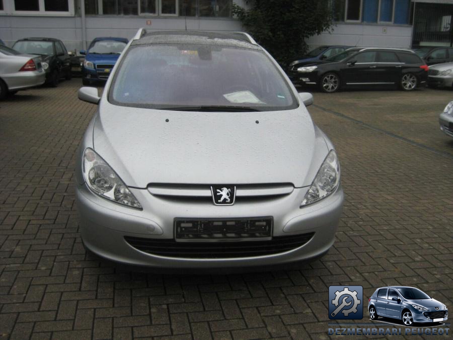 Aripa spate peugeot 307 2004