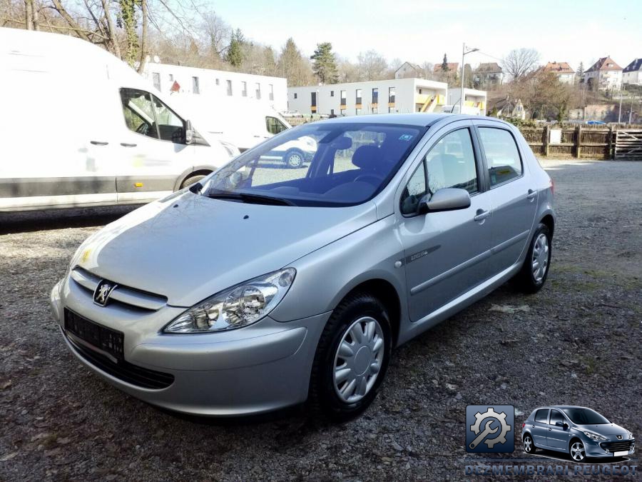 Bandouri peugeot 307 2006