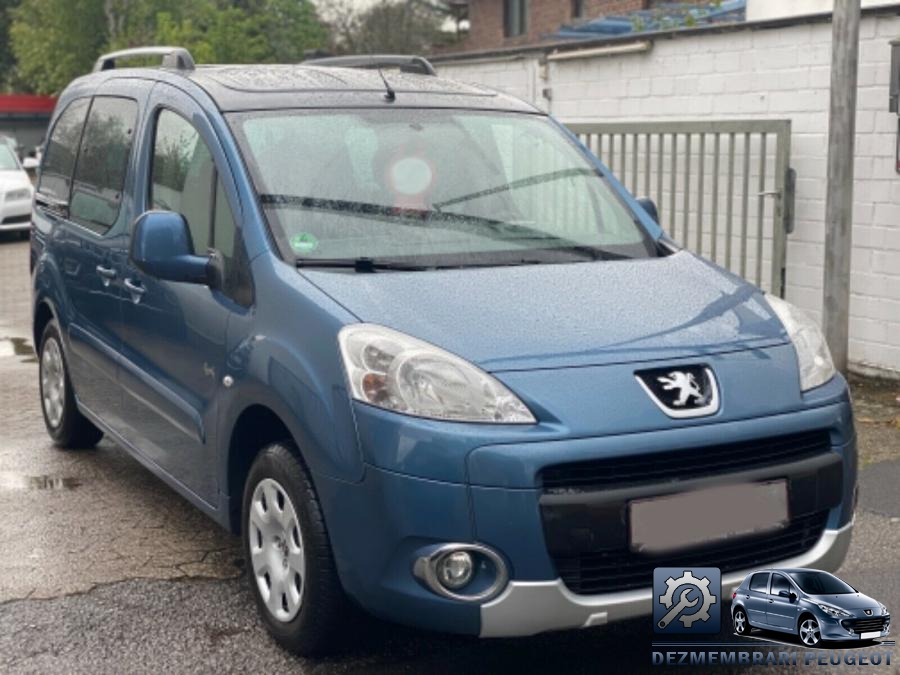 Lampa interior peugeot partner 2011