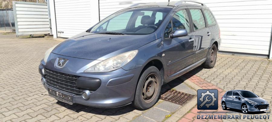 Luneta peugeot 307 2003