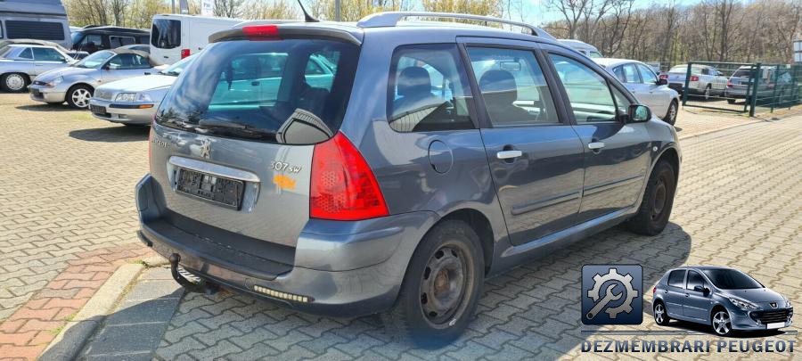 Luneta peugeot 307 2003