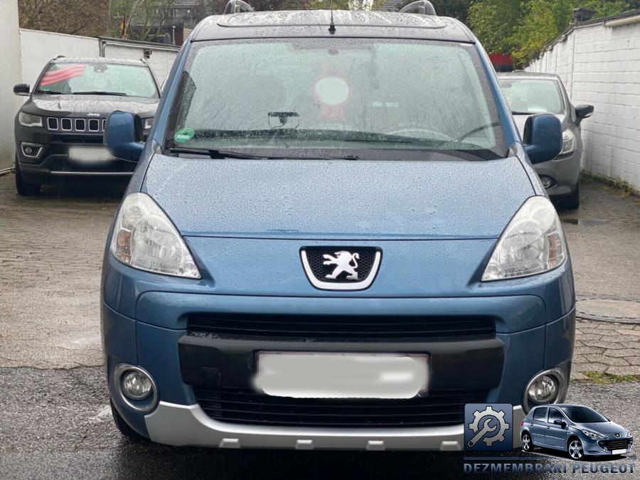 Luneta peugeot partner 2009