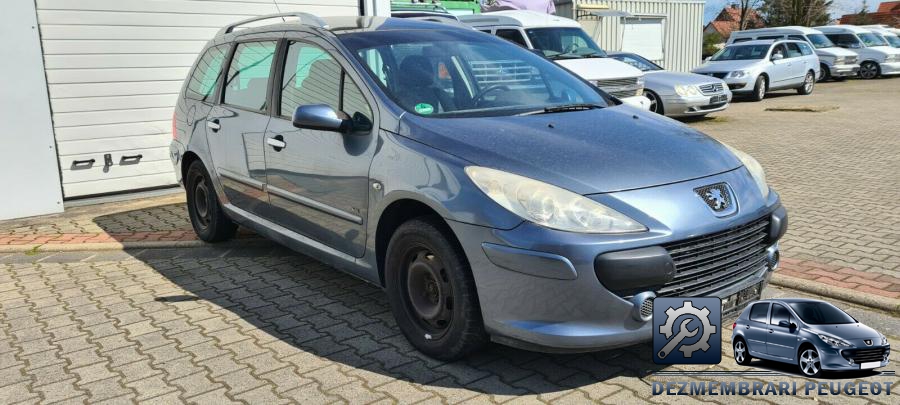 Tager peugeot 307 2003