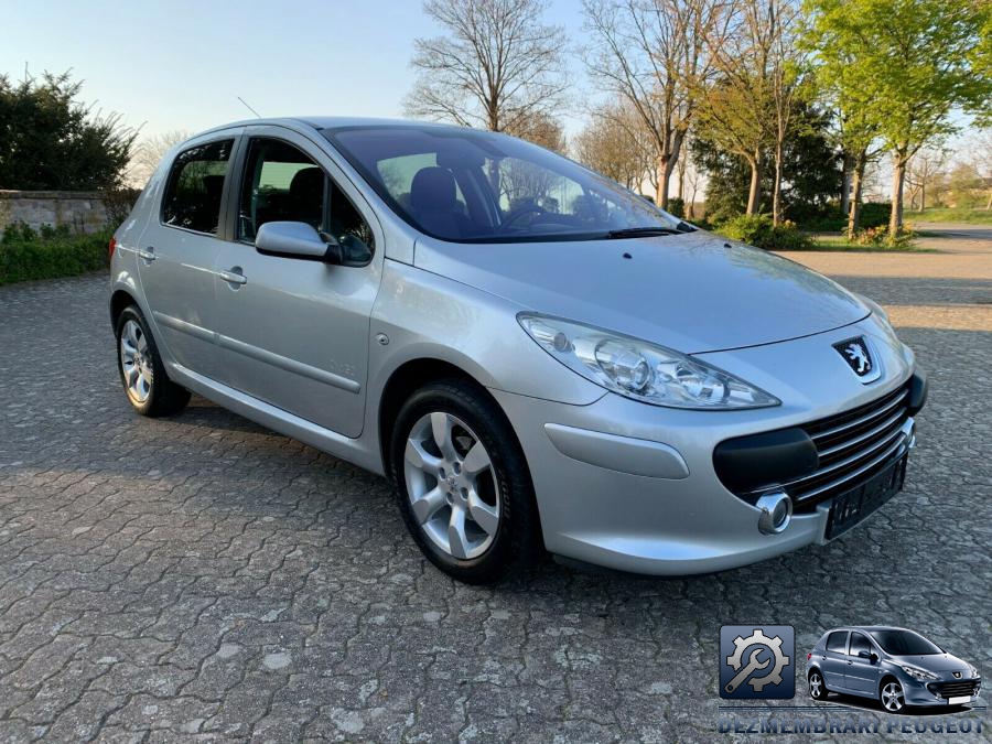 Tager peugeot 307 2004
