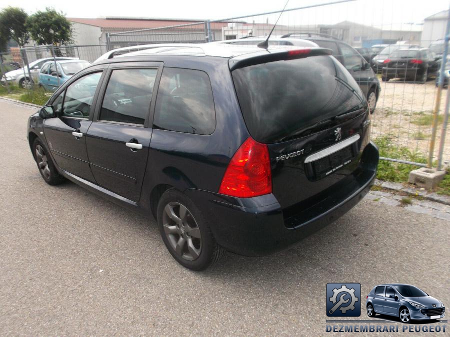 Tager peugeot 307 2006