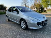 Balamale hayon peugeot 307 2004