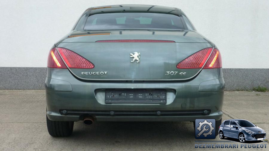 Vas lichid servodirectie peugeot 307 2003